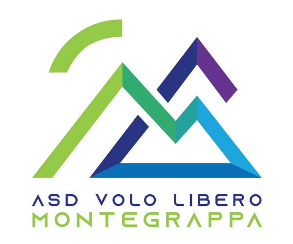 logo VLM 2019